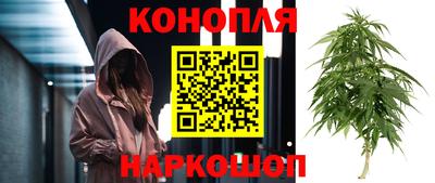 прущая мука Лесосибирск