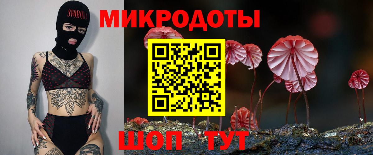 Чехов  Галлюциногенные грибы прущие грибы  Псилоцибиновые грибы Psilocybe  Вход с VPN 