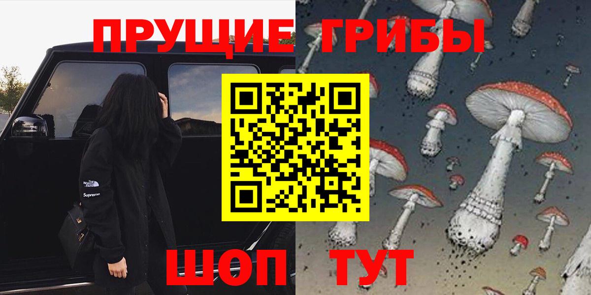 Галлюциногенные грибы Cubensis Чехов